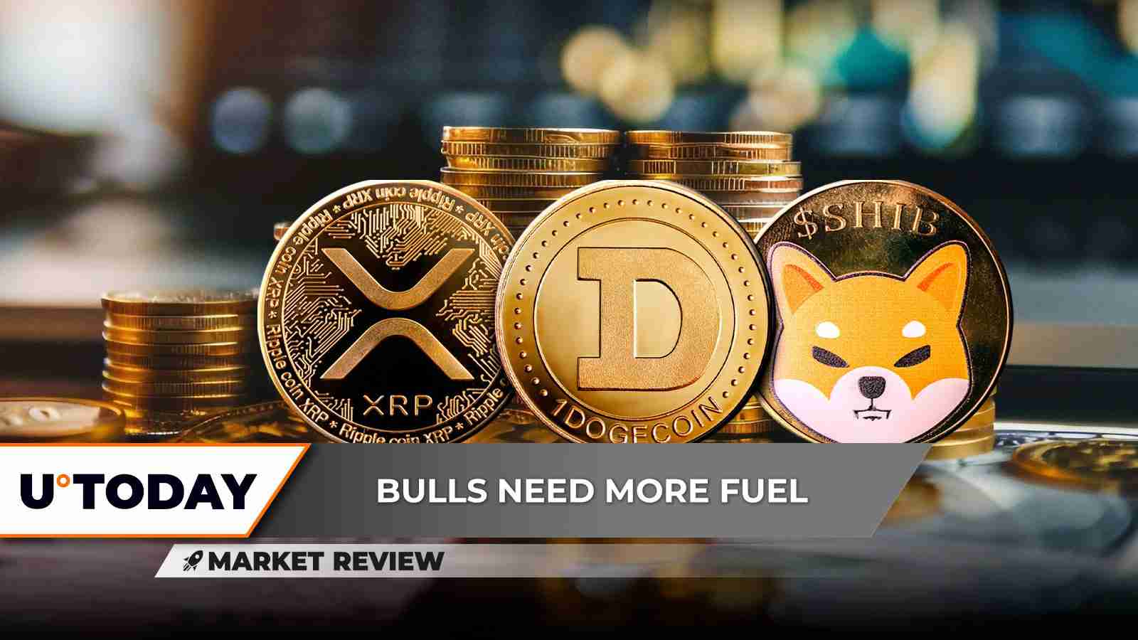 Shiba Inu（Shib）已通过其最重要的年度支持水平正式破坏